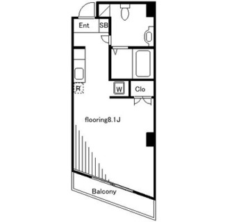 東京都豊島区南長崎１丁目 賃貸マンション 1R